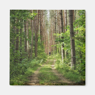 Nature Landscape Scenery Forest Trees Belarus Magnet