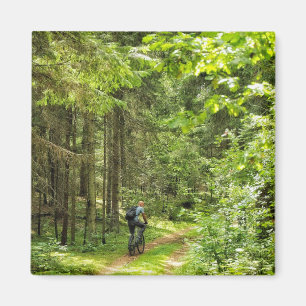 Nature Landscape Scenery Forest Trees Belarus Magnet