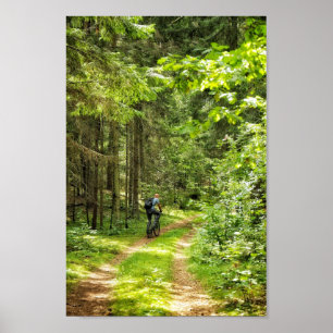 Nature Landscape Scenery Forest Trees Belarus Poster