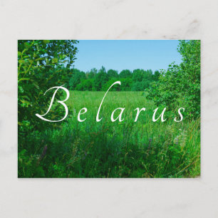 Nature Landscape Scenery Green Field Forest Postcard