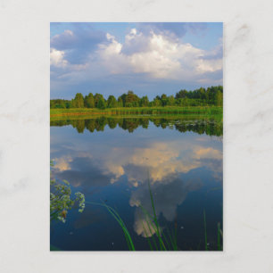 Nature Landscape Scenery Lake Belarus Postcard