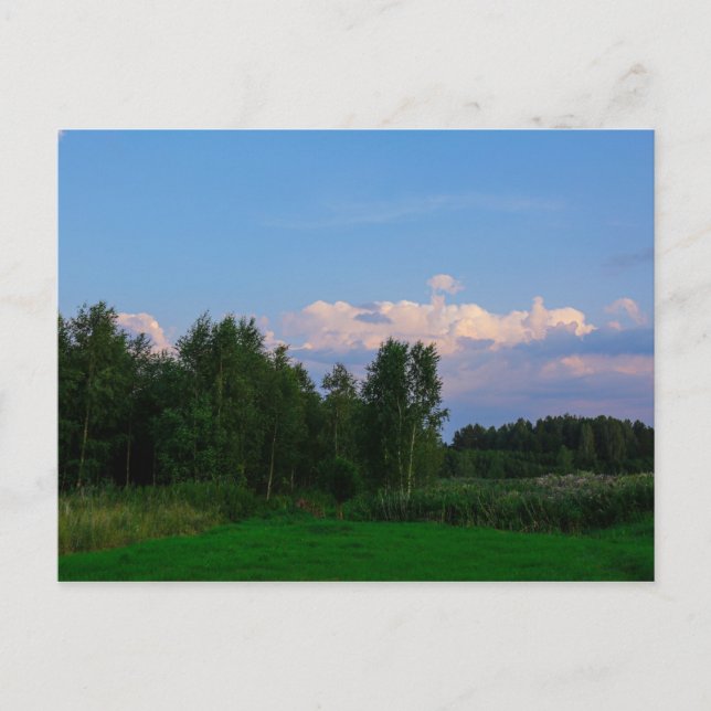 Nature Landscape Scenery Meadow Belarus Postcard (Front)