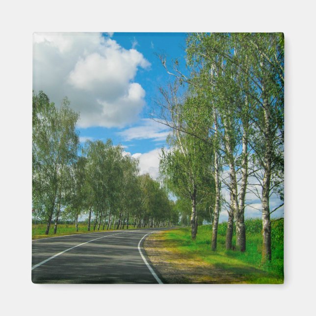 Nature Landscape Scenery Rural Belarus Birch Trees Magnet (Front)