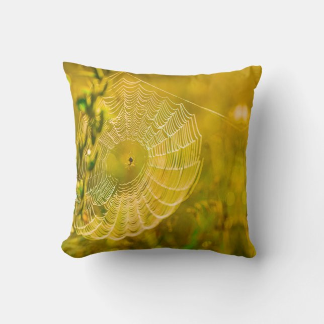 Nature Landscape Spider Spiderweb Sunlight  Cushion (Front)