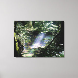 Nature Landscape Sunlight Through Trees On Creek Canvas Print