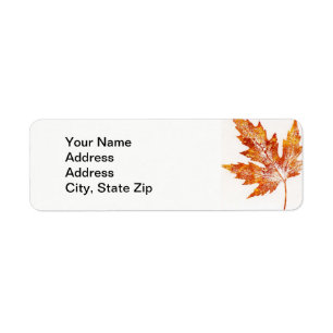 Nature Leaf Print, large orange maple leaf.