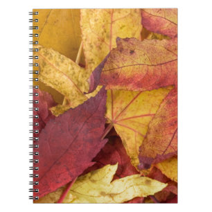Nature Leaves Autumn Fall Tree Leaf Colourful Art Notebook