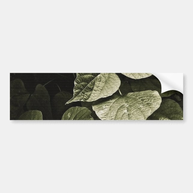 Nature Leaves Composition Bumper Sticker (Front)