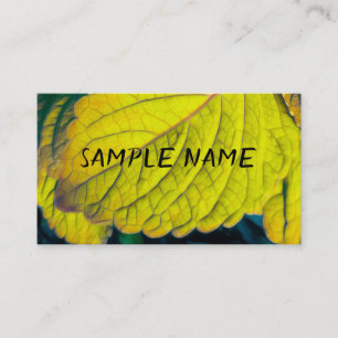 nature lime green leaves photography plants business card