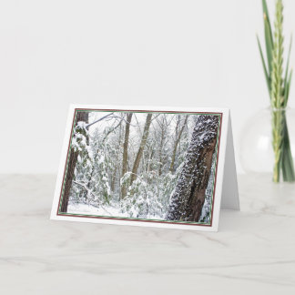 ***Nature: Live each Season: Walden Pond Holiday Card