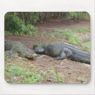 NATURE MOUSEPAD
