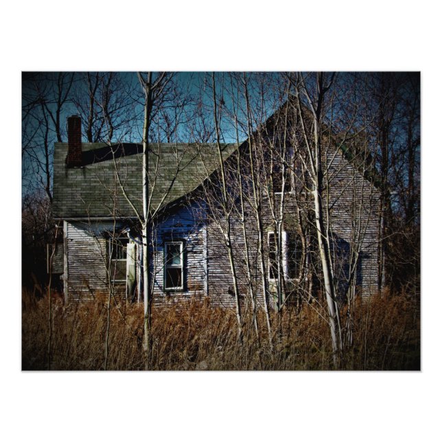 "Nature Moves In" Photo Print (Front)