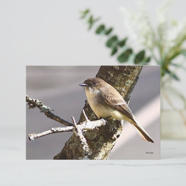 Nature note cards Bird cards (Standing Front)