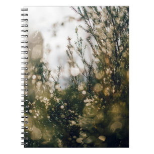 NATURE NOTEBOOK