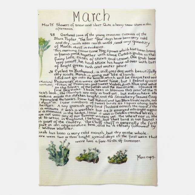 Nature Notes March by Edith Holden Tea Towel (Vertical)