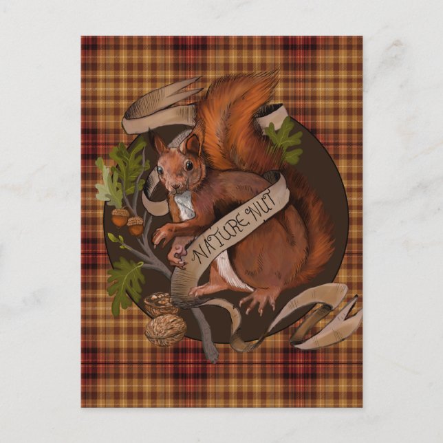 Nature Nut Squirrel  Postcard (Front)