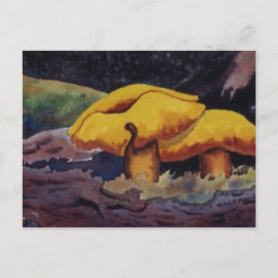 Nature Oddities Postcard