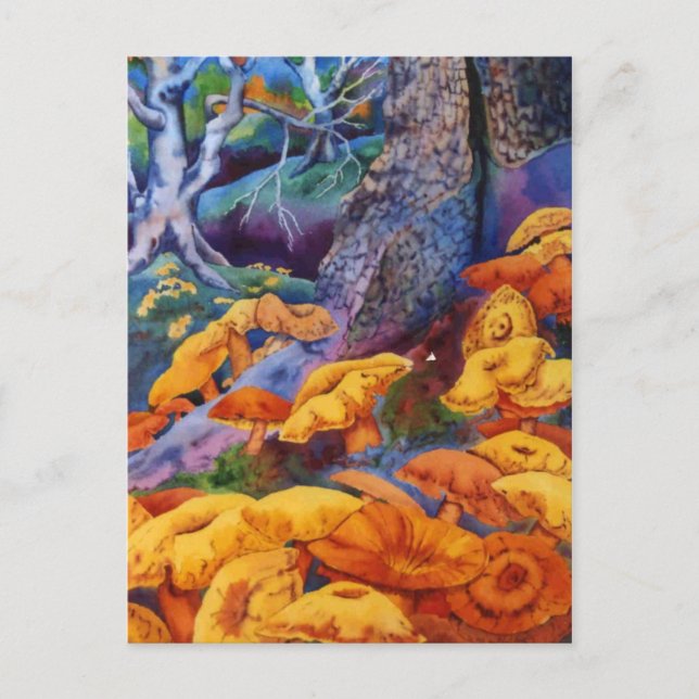 Nature Oddities Postcard (Front)