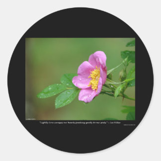 Nature Of Love Wild Rose Spring Storm Beauty Classic Round Sticker