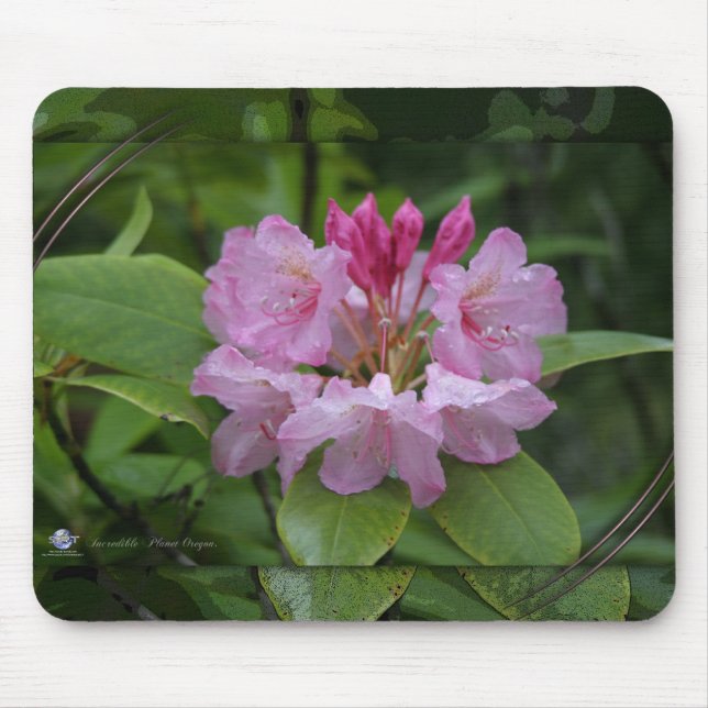 NATURE OREGON MOUSE PAD (Front)