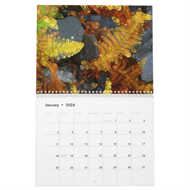 Nature - Paintography Style Calendar (Jan 2026)