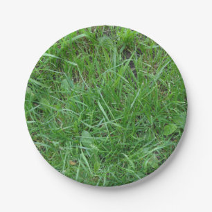 Nature, Patch of Grass, Paper Plate