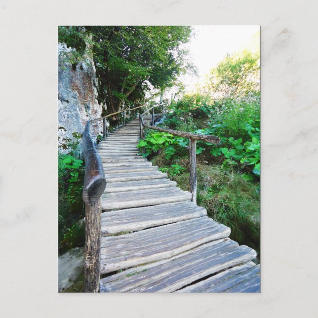 nature path postcard (Front)