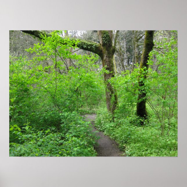 Nature Pathway Poster (Front)