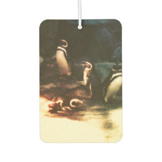 Nature Penguin Photography Art Car Air Freshener