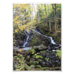Nature Photo Print