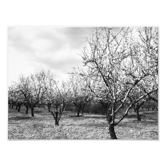 nature photo print (Front)