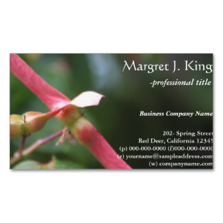 Nature photo red maple seeds business cards. magnetic business card