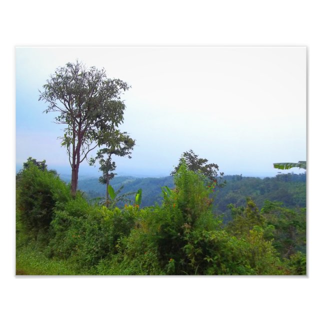 Nature Photograph (Front)