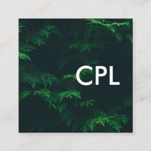 Nature Photograph Square Business Card