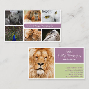 Nature Photographer Outdoors Wildlife Photography Business Card