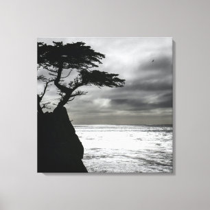 Nature Photography Black and White Canvas Print