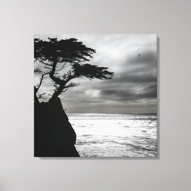 Nature Photography Black and White Canvas Print (Front)