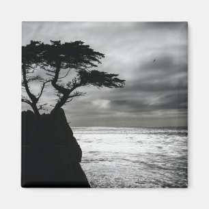 Nature Photography Black and White Magnet