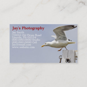 Nature Photography Business Cards