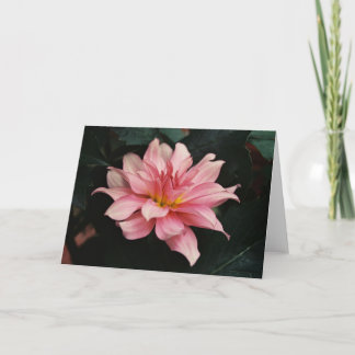 Nature Photography Card