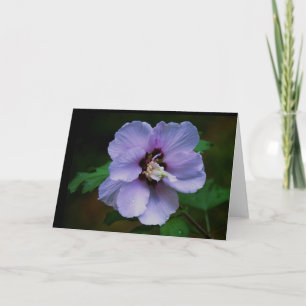 Nature Photography Card