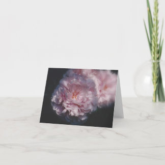 Nature Photography Card