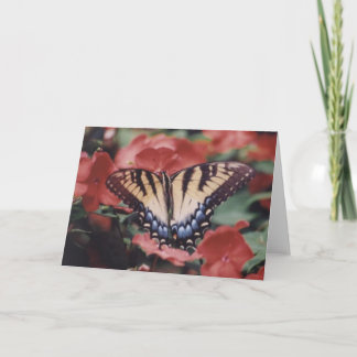 Nature Photography Card