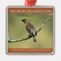 Nature Photography Cedar Waxwing Birder