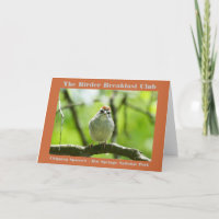 Nature Photography Chipping Sparrow Birder
