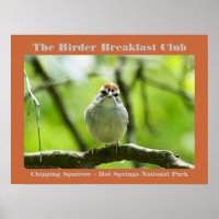 Nature Photography Chipping Sparrow Birder