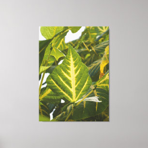 Nature Photography Green Leaf Texture Golden Veins Canvas Print