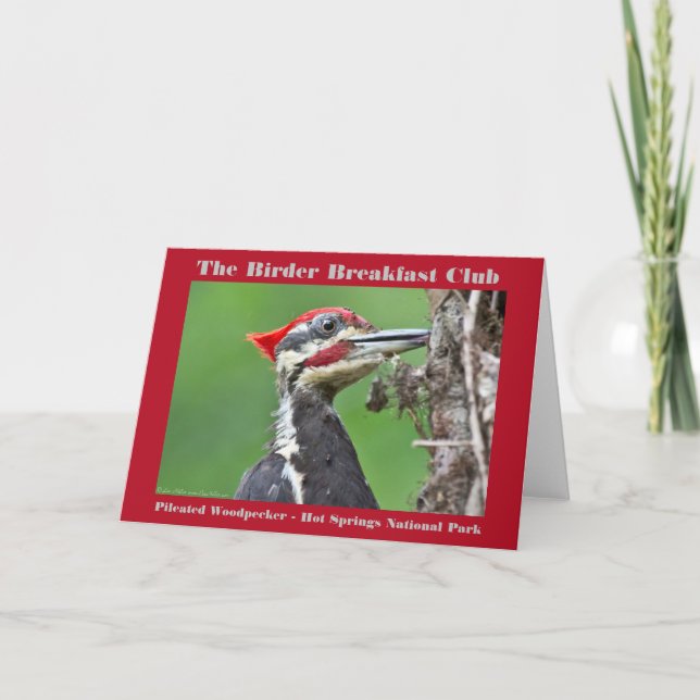 Nature Photography Pileated Woodpecker Birder Card (Front)