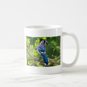 Nature Photography Shy Blue Jay Apparel Gifts Coffee Mug