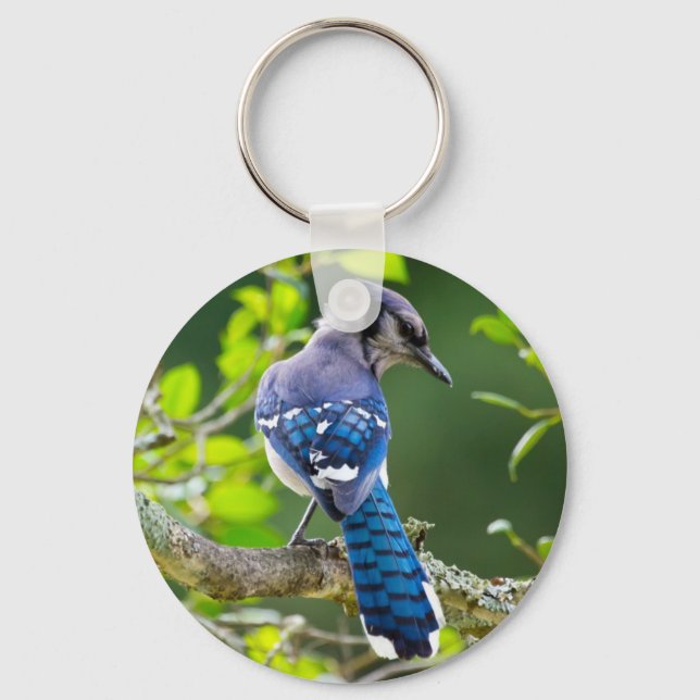 Nature Photography Shy Blue Jay Apparel Gifts Key Ring (Front)
